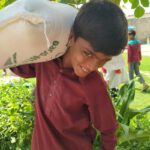 Picture of a boy carrying a bag of rice on his shoulders